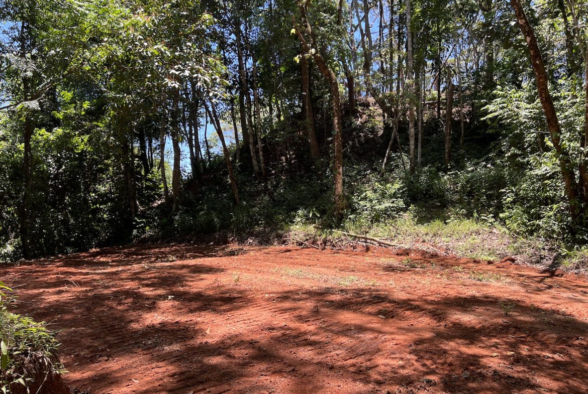 PROPERTY WITH WATERFALLS ACCESS, OCEAN, MOUNTAIN AND JUNGLE VIEWS – 75 ACRES