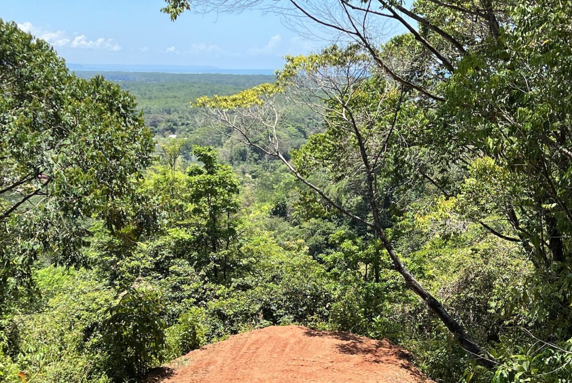 PROPERTY WITH WATERFALLS ACCESS, OCEAN, MOUNTAIN AND JUNGLE VIEWS – 75 ACRES