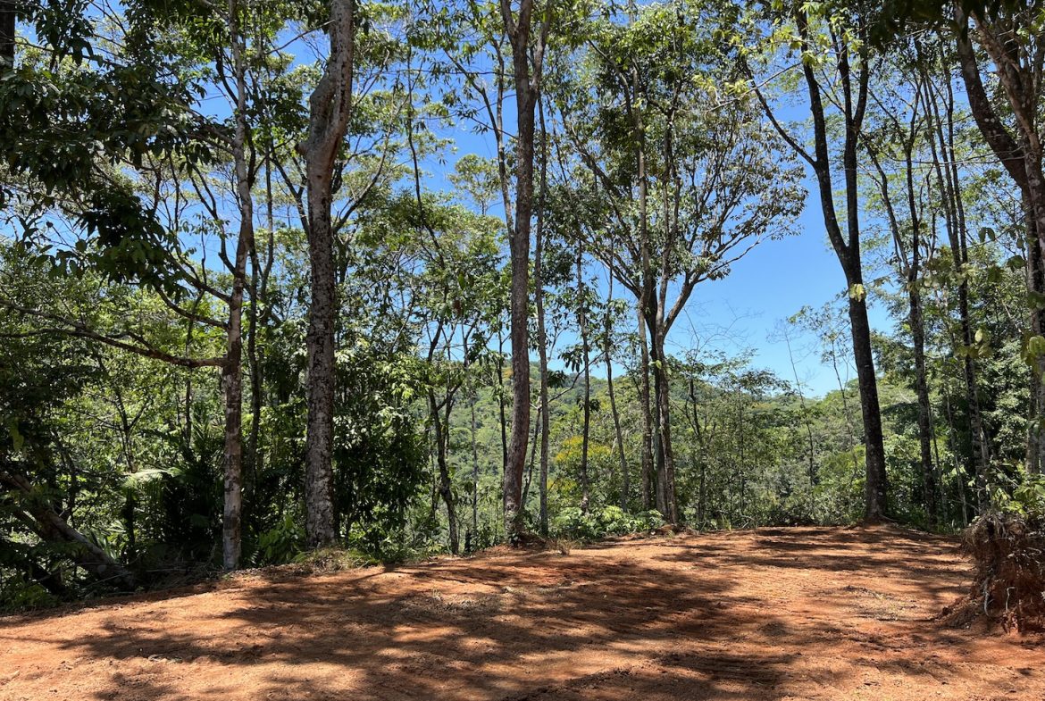 PROPERTY WITH WATERFALLS ACCESS, OCEAN, MOUNTAIN AND JUNGLE VIEWS – 75 ACRES