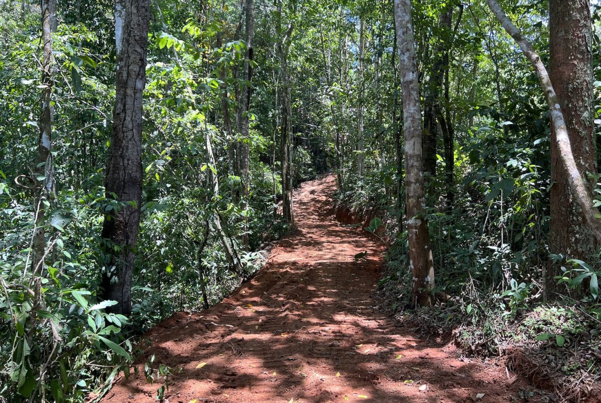 PROPERTY WITH WATERFALLS ACCESS, OCEAN, MOUNTAIN AND JUNGLE VIEWS – 75 ACRES