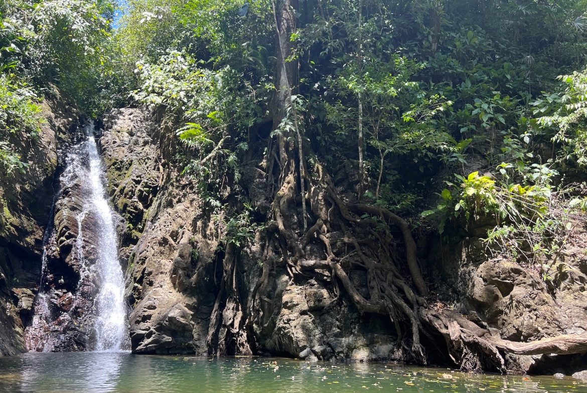 PROPERTY WITH WATERFALLS ACCESS, OCEAN, MOUNTAIN AND JUNGLE VIEWS – 75 ACRES