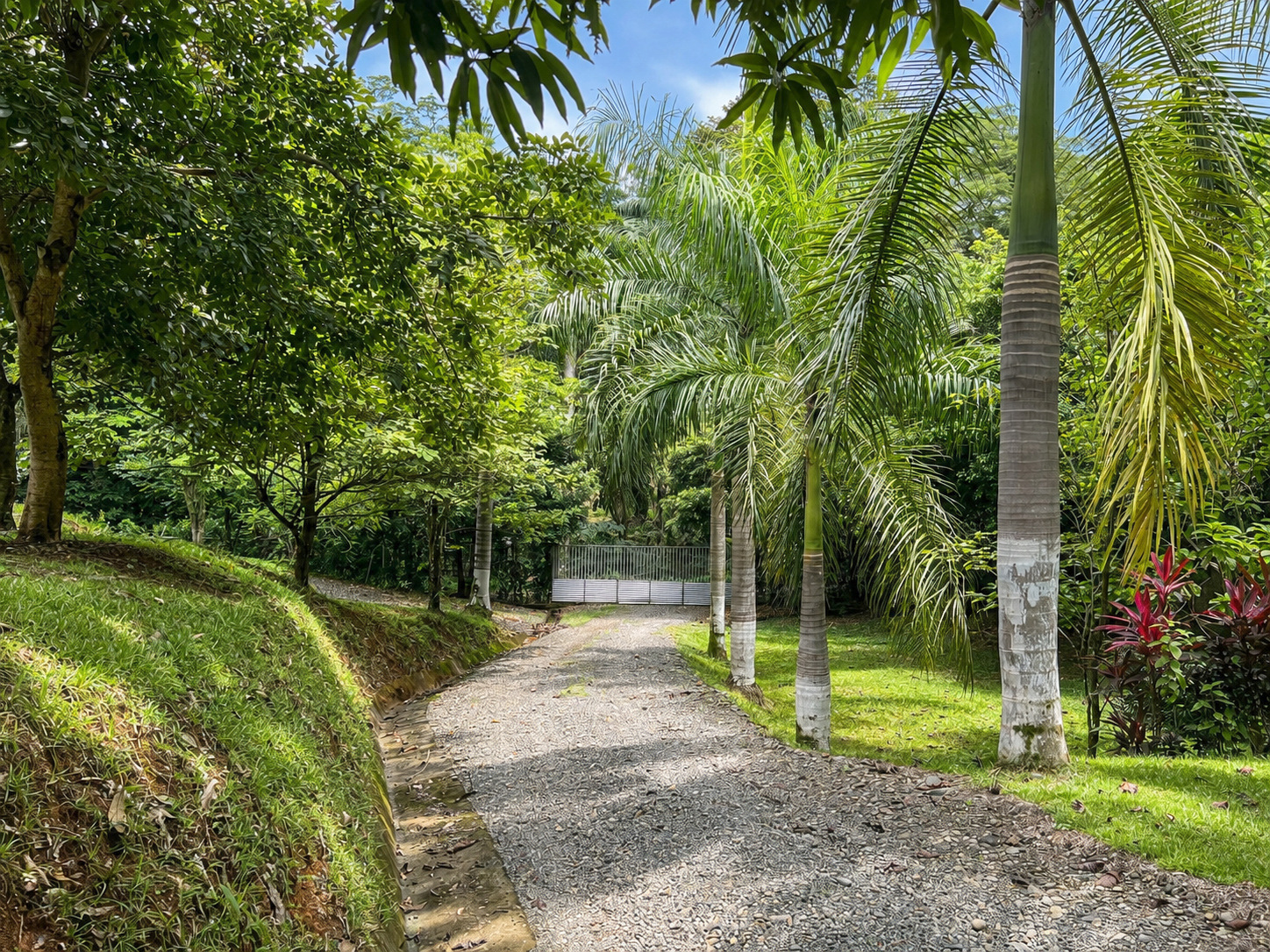CHARMING SINGLE-STORY RESIDENCE IN A SPACIOUS TROPICAL SETTING WITH GREAT POTENTIAL FOR EXPANSION, IN LOURDES QUEPOS – 1.24 ACRES