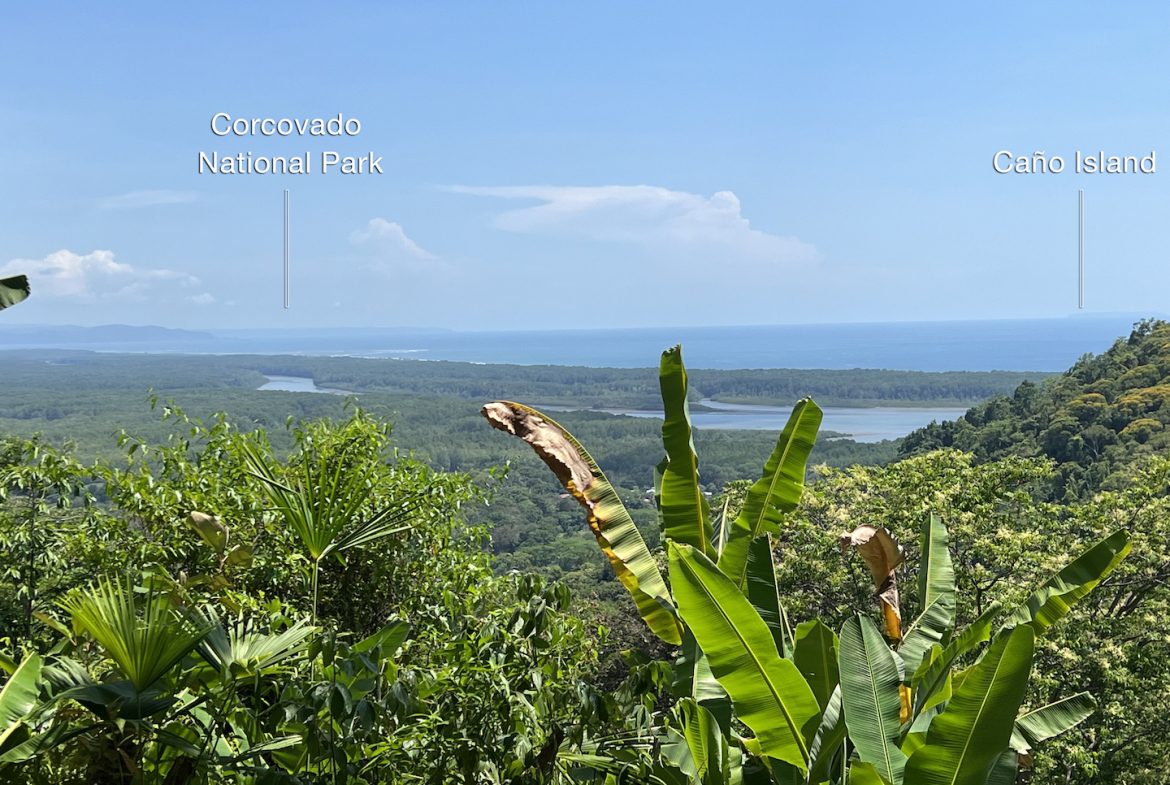 PROPERTY WITH WATERFALLS ACCESS, OCEAN, MOUNTAIN AND JUNGLE VIEWS – 75 ACRES