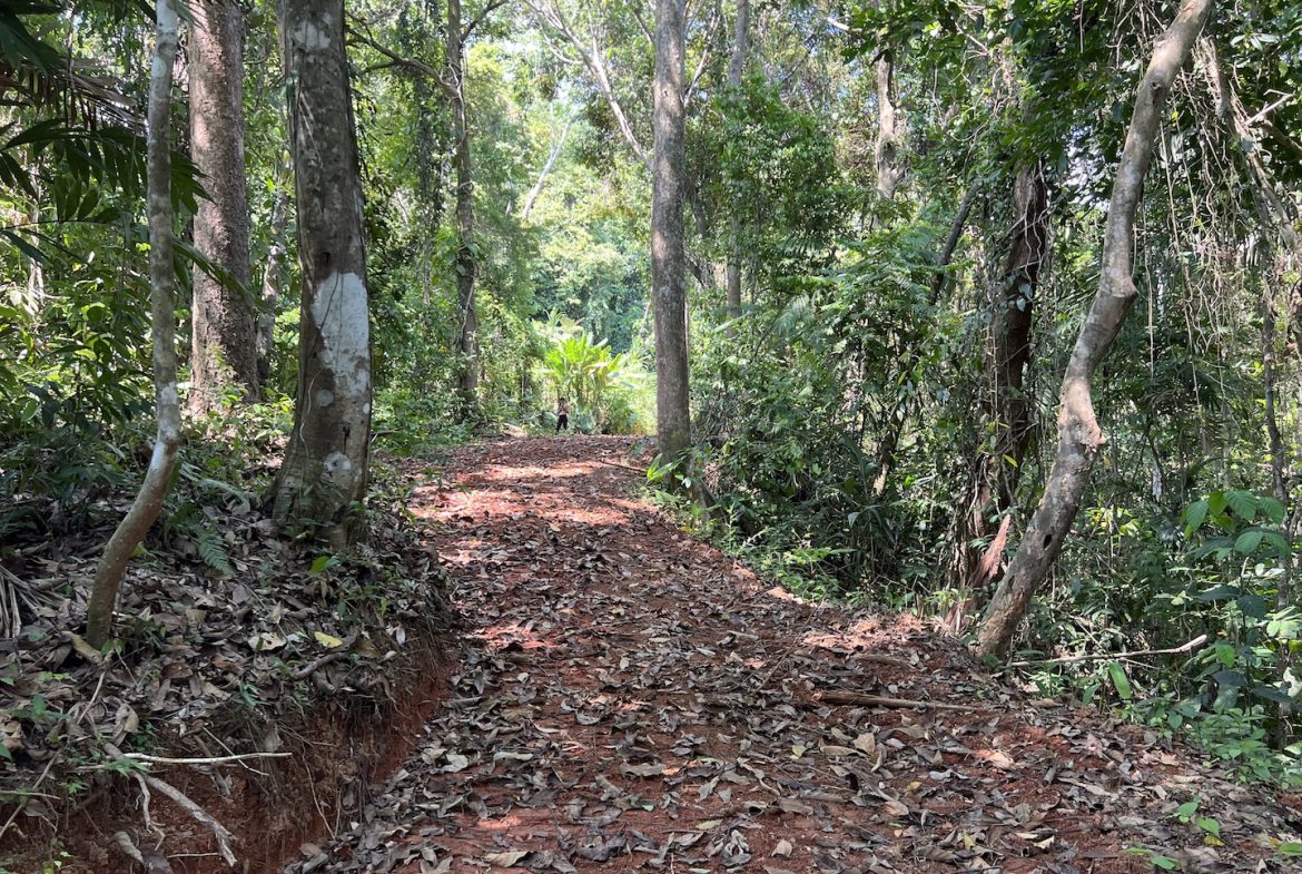PROPERTY WITH WATERFALLS ACCESS, OCEAN, MOUNTAIN AND JUNGLE VIEWS – 75 ACRES