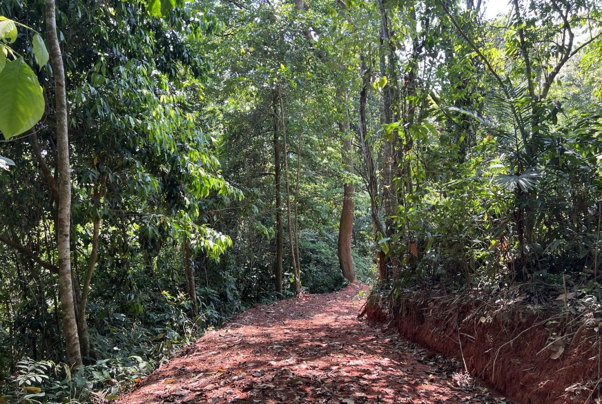 PROPERTY WITH WATERFALLS ACCESS, OCEAN, MOUNTAIN AND JUNGLE VIEWS – 75 ACRES