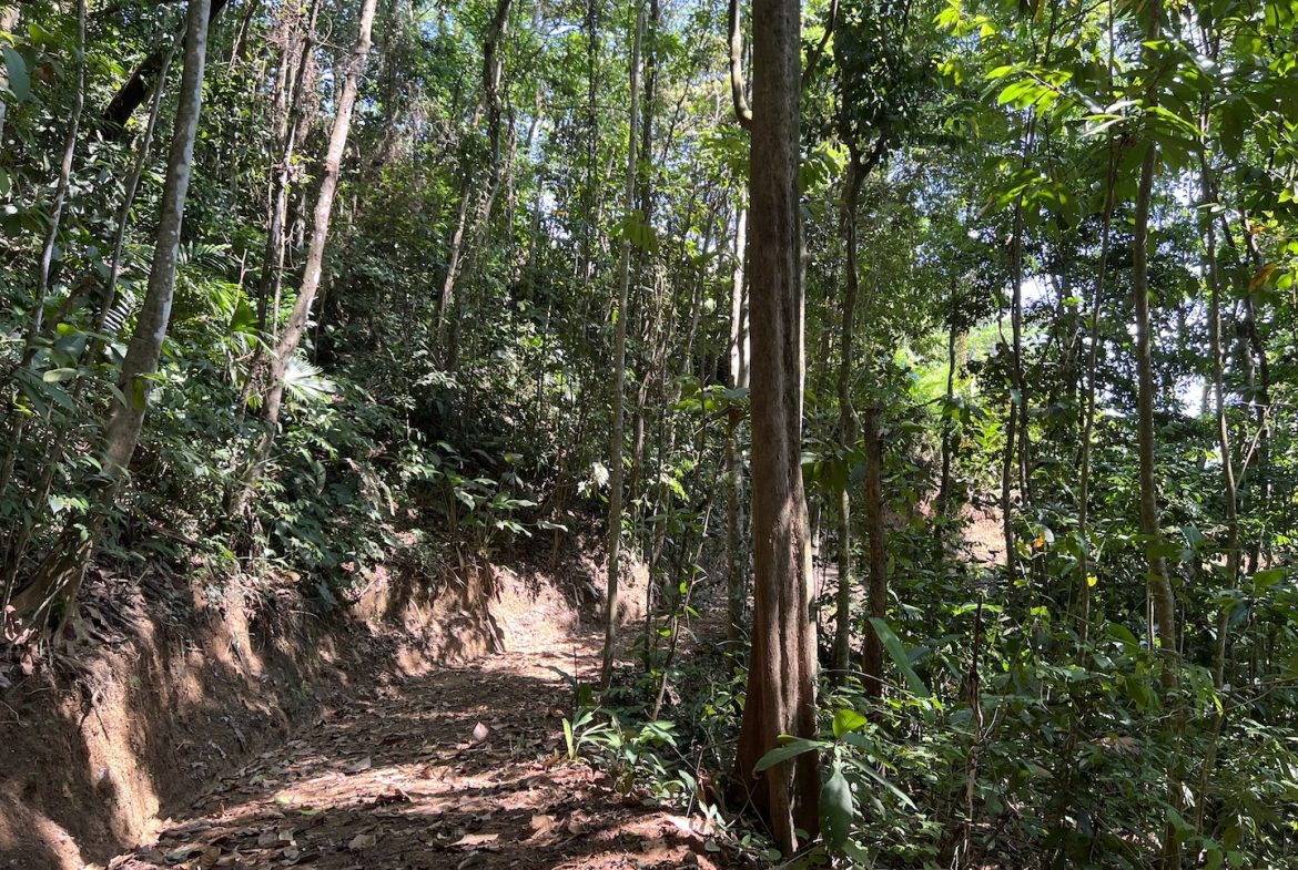 PROPERTY WITH WATERFALLS ACCESS, OCEAN, MOUNTAIN AND JUNGLE VIEWS – 75 ACRES