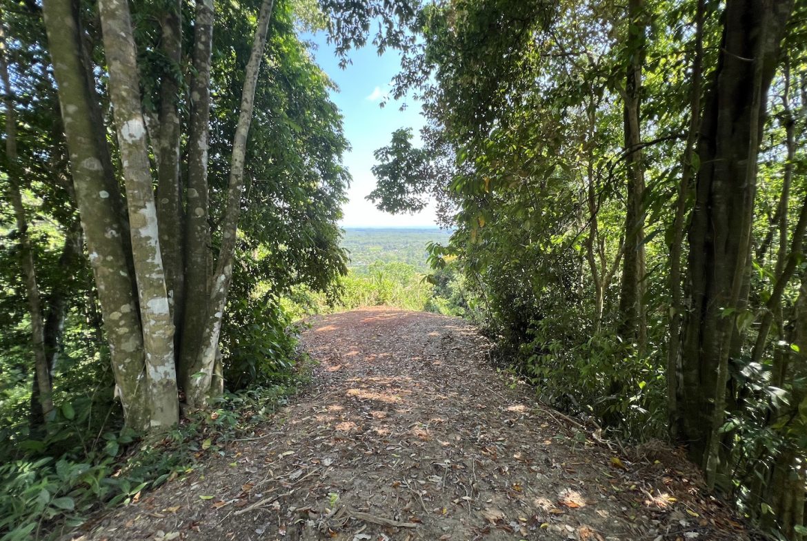 PROPERTY WITH WATERFALLS ACCESS, OCEAN, MOUNTAIN AND JUNGLE VIEWS – 75 ACRES
