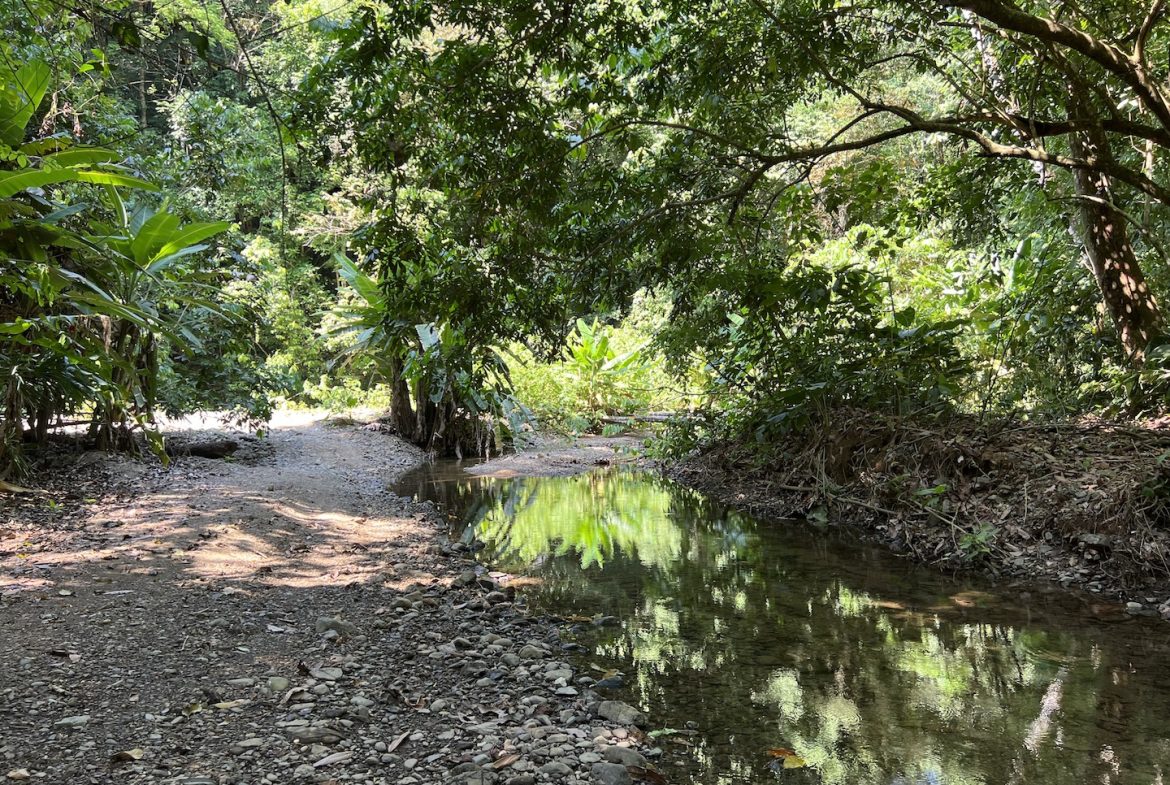 PROPERTY WITH WATERFALLS ACCESS, OCEAN, MOUNTAIN AND JUNGLE VIEWS – 75 ACRES
