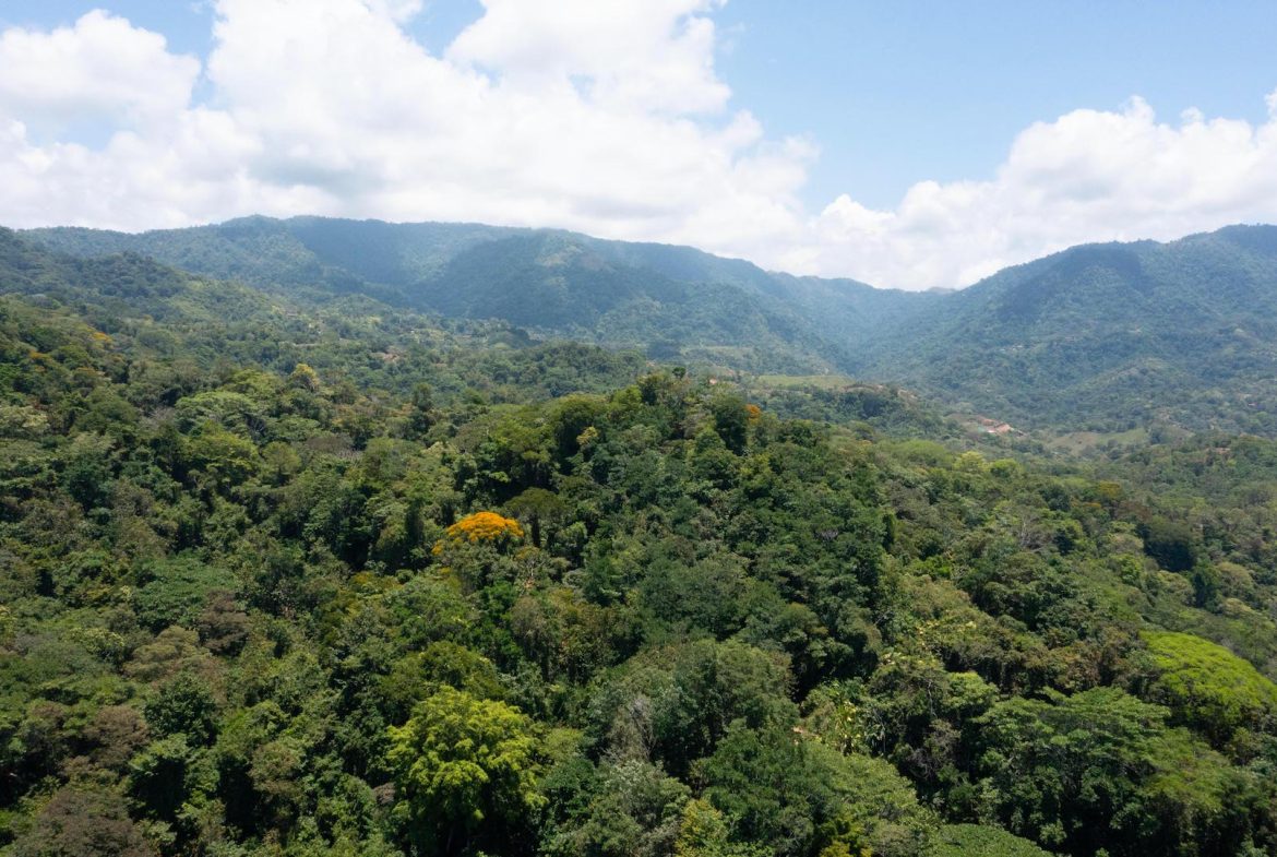 PROPERTY WITH WATERFALLS ACCESS, OCEAN, MOUNTAIN AND JUNGLE VIEWS – 75 ACRES