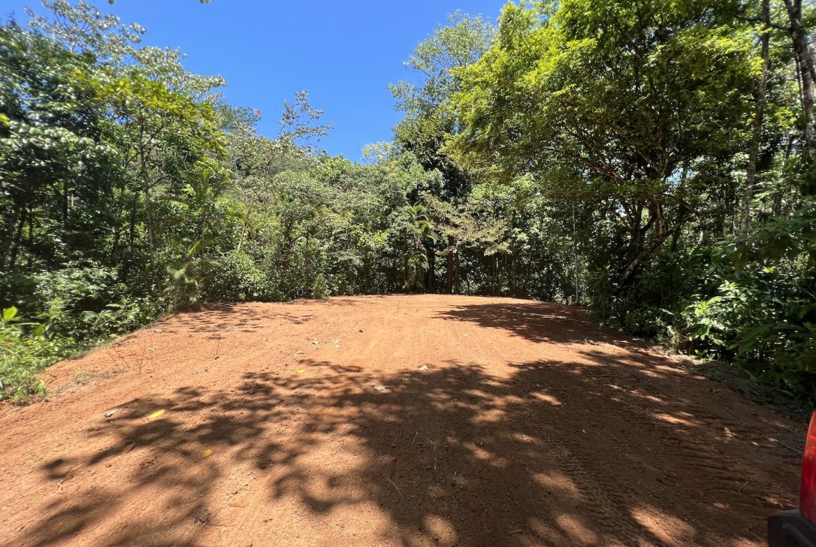 PROPERTY WITH WATERFALLS ACCESS, OCEAN, MOUNTAIN AND JUNGLE VIEWS – 75 ACRES