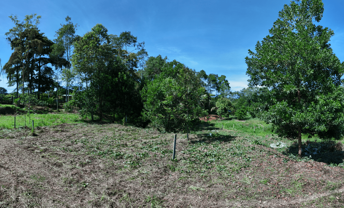 COMMERCIAL LAND IN UVITA – 0.2 ACRES