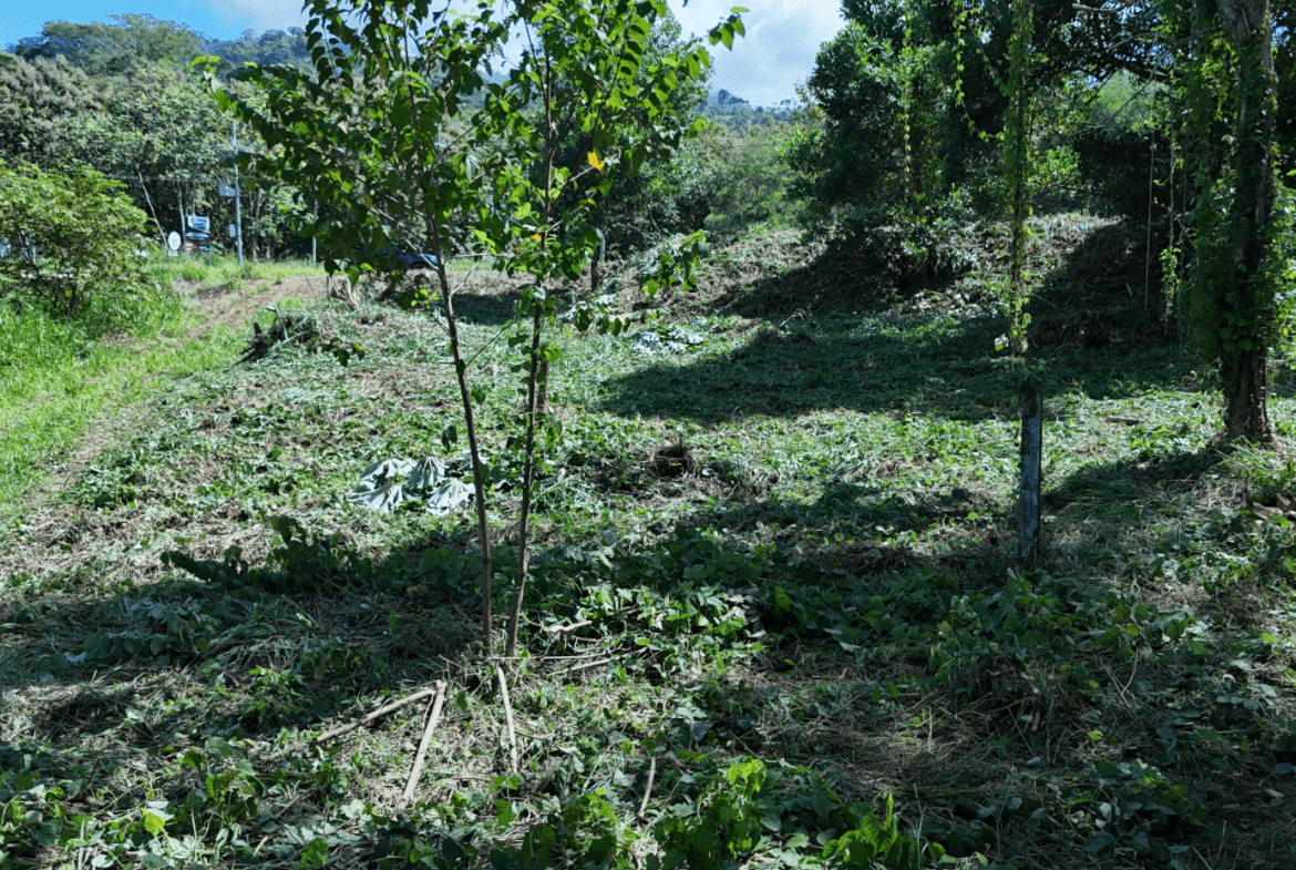 COMMERCIAL LAND IN UVITA – 0.2 ACRES