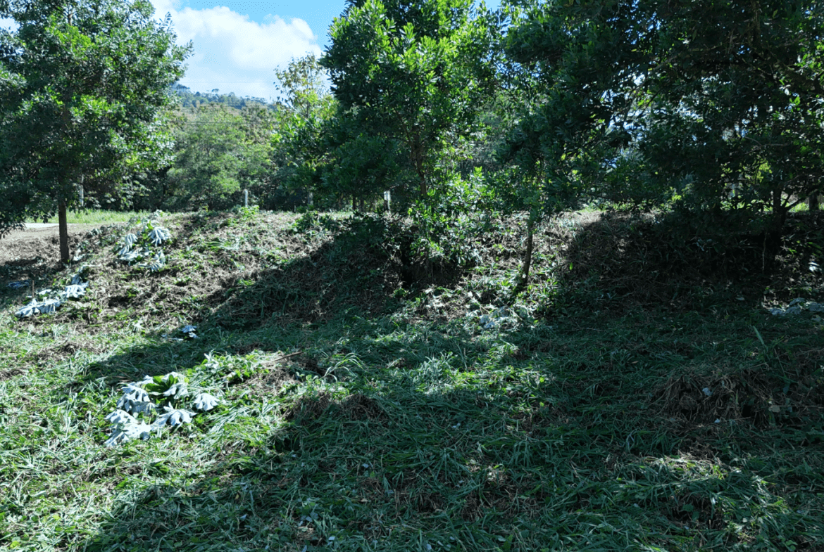 COMMERCIAL LAND IN UVITA – 0.2 ACRES