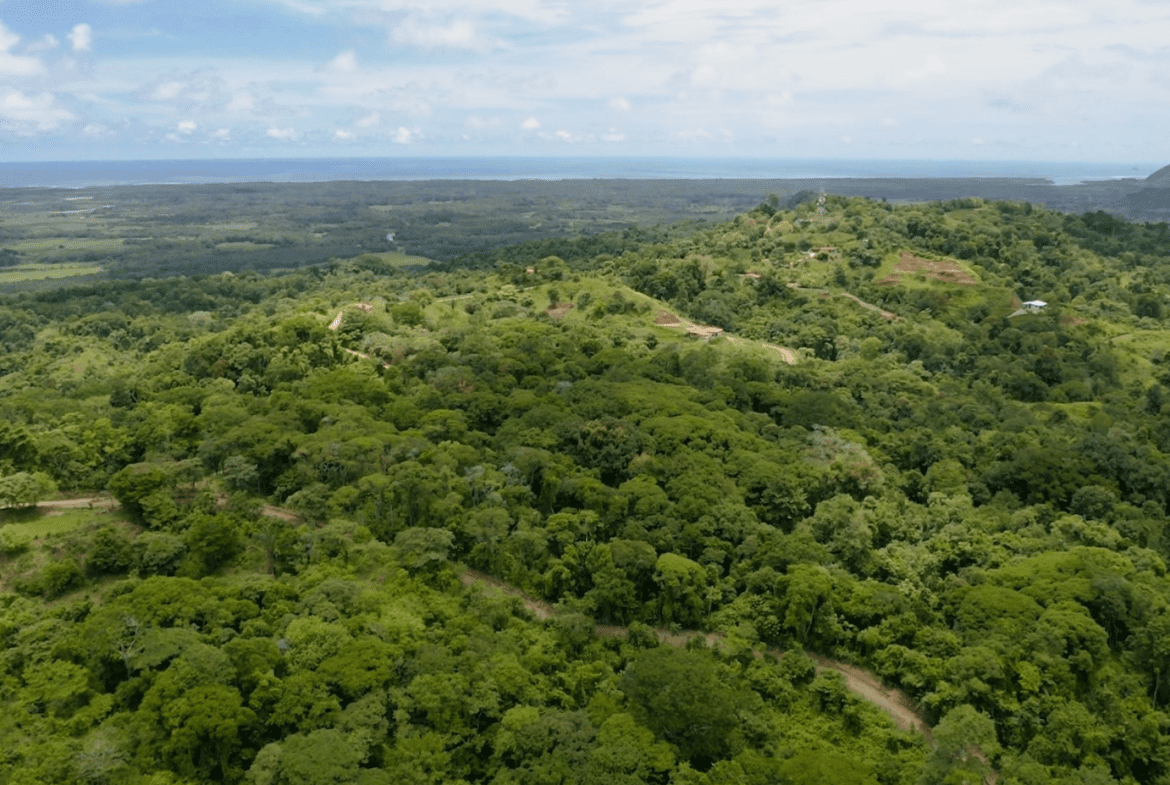 EXCLUSIVE 55-ACRE FARM: A RARE OPPORTUNITY IN CHONTALES