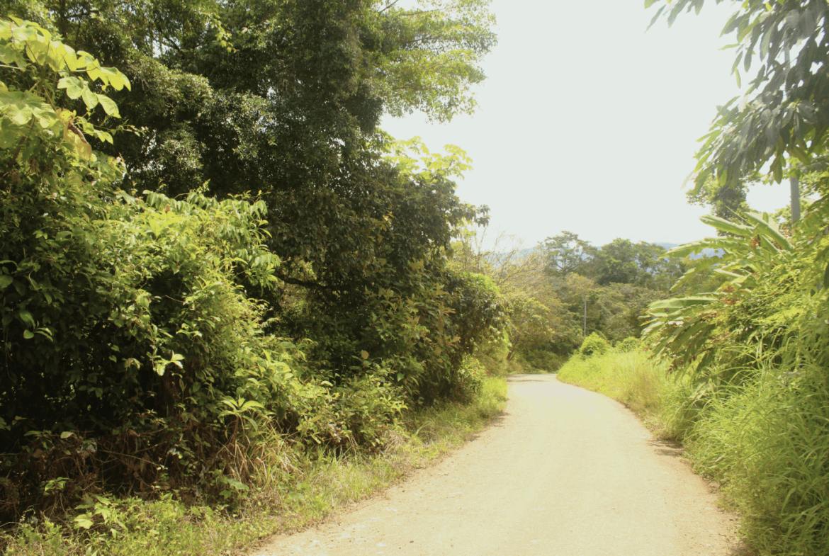 EXCLUSIVE 55-ACRE FARM: A RARE OPPORTUNITY IN CHONTALES