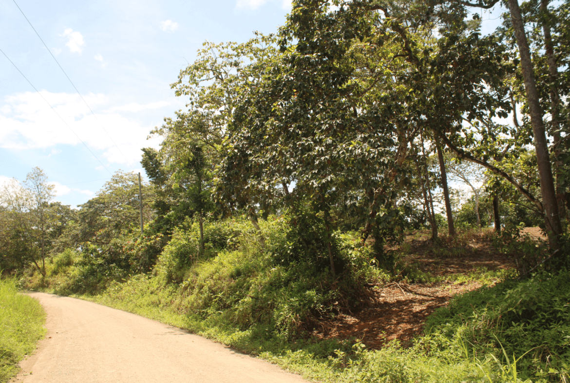 EXCLUSIVE 55-ACRE FARM: A RARE OPPORTUNITY IN CHONTALES