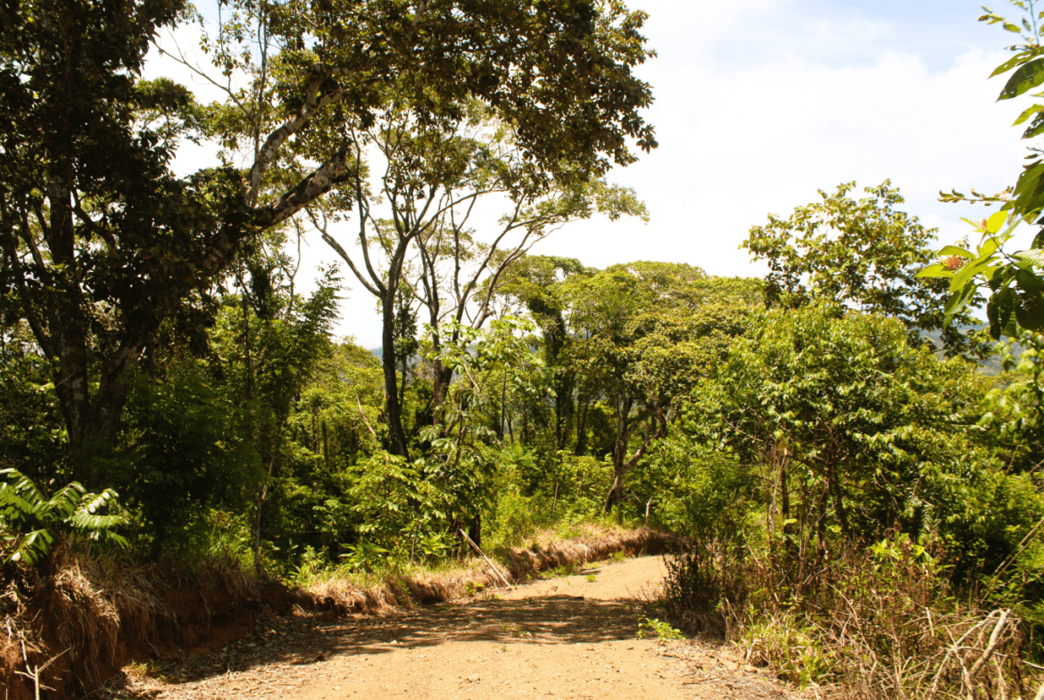 EXCLUSIVE 55-ACRE FARM: A RARE OPPORTUNITY IN CHONTALES
