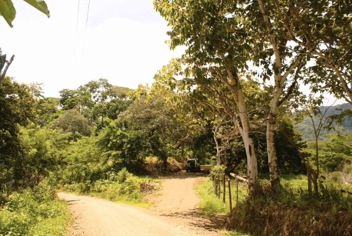 EXCLUSIVE 55-ACRE FARM: A RARE OPPORTUNITY IN CHONTALES