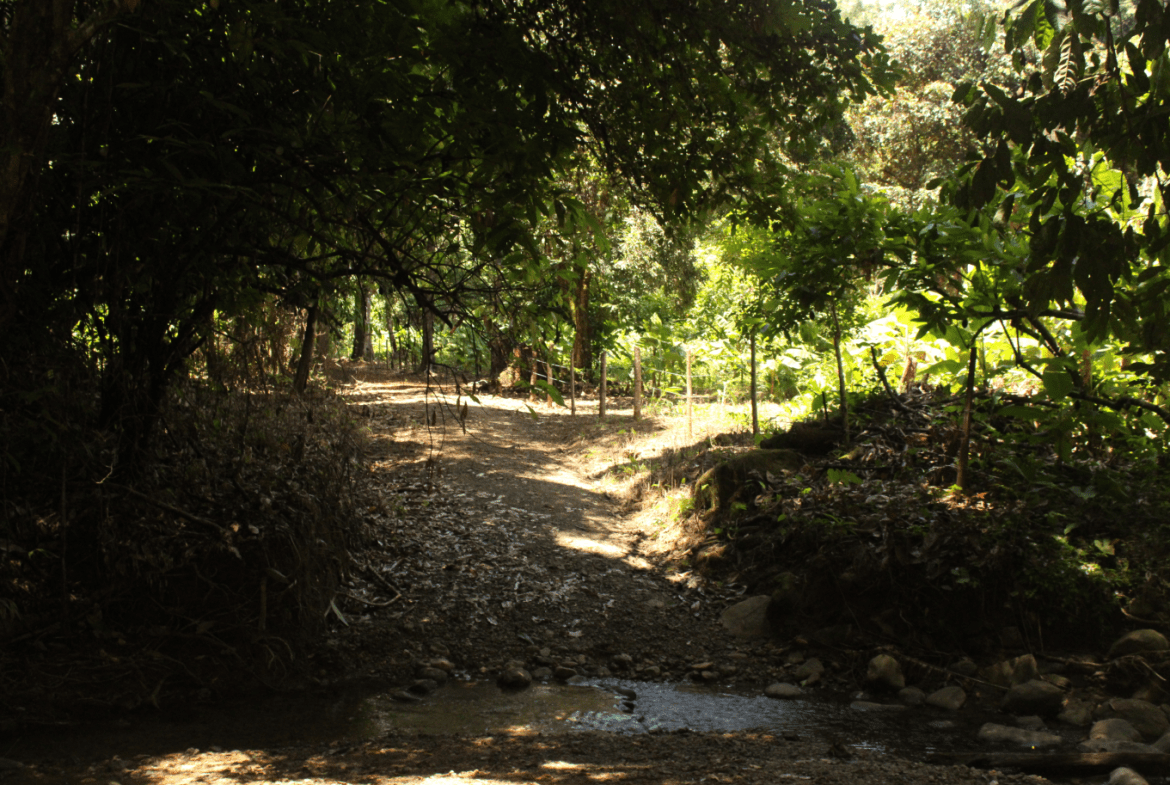 EXCLUSIVE 55-ACRE FARM: A RARE OPPORTUNITY IN CHONTALES