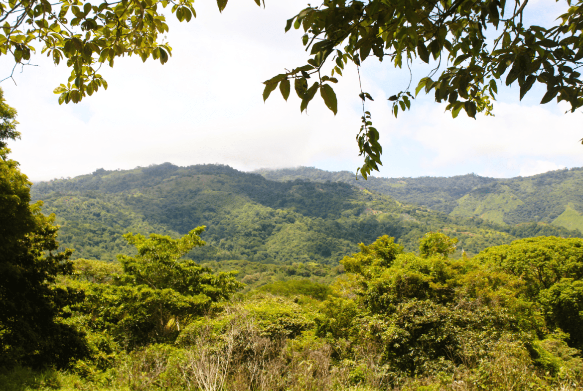 EXCLUSIVE 55-ACRE FARM: A RARE OPPORTUNITY IN CHONTALES