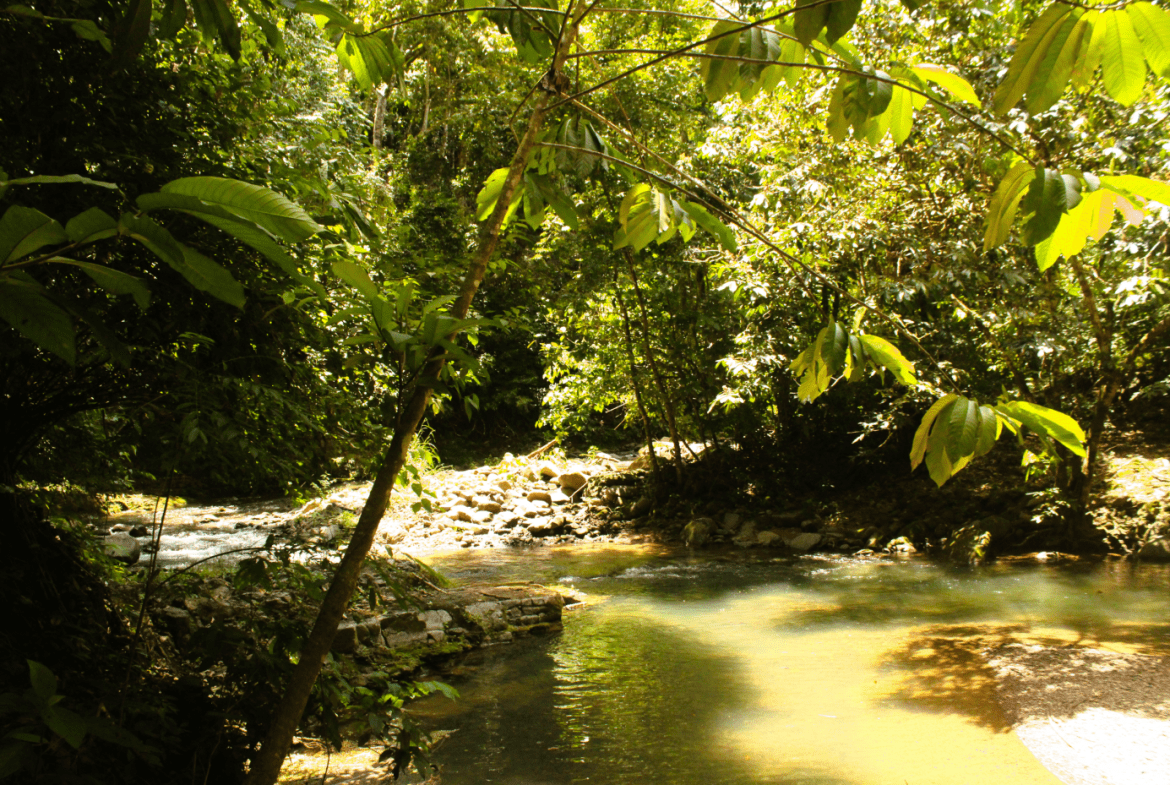 EXCLUSIVE 55-ACRE FARM: A RARE OPPORTUNITY IN CHONTALES