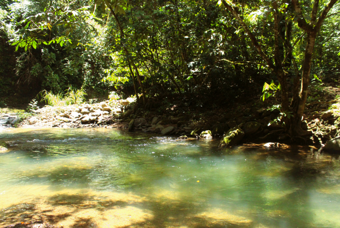 EXCLUSIVE 55-ACRE FARM: A RARE OPPORTUNITY IN CHONTALES