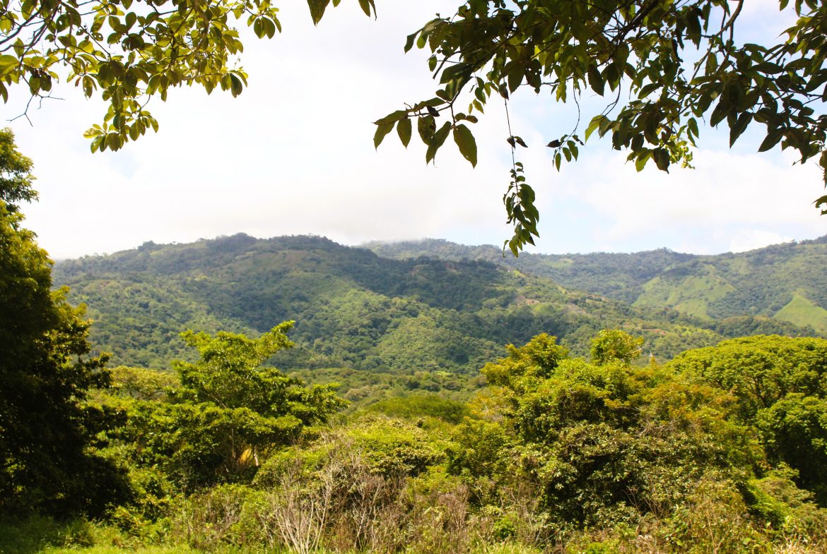EXCLUSIVE 55-ACRE FARM: A RARE OPPORTUNITY IN CHONTALES