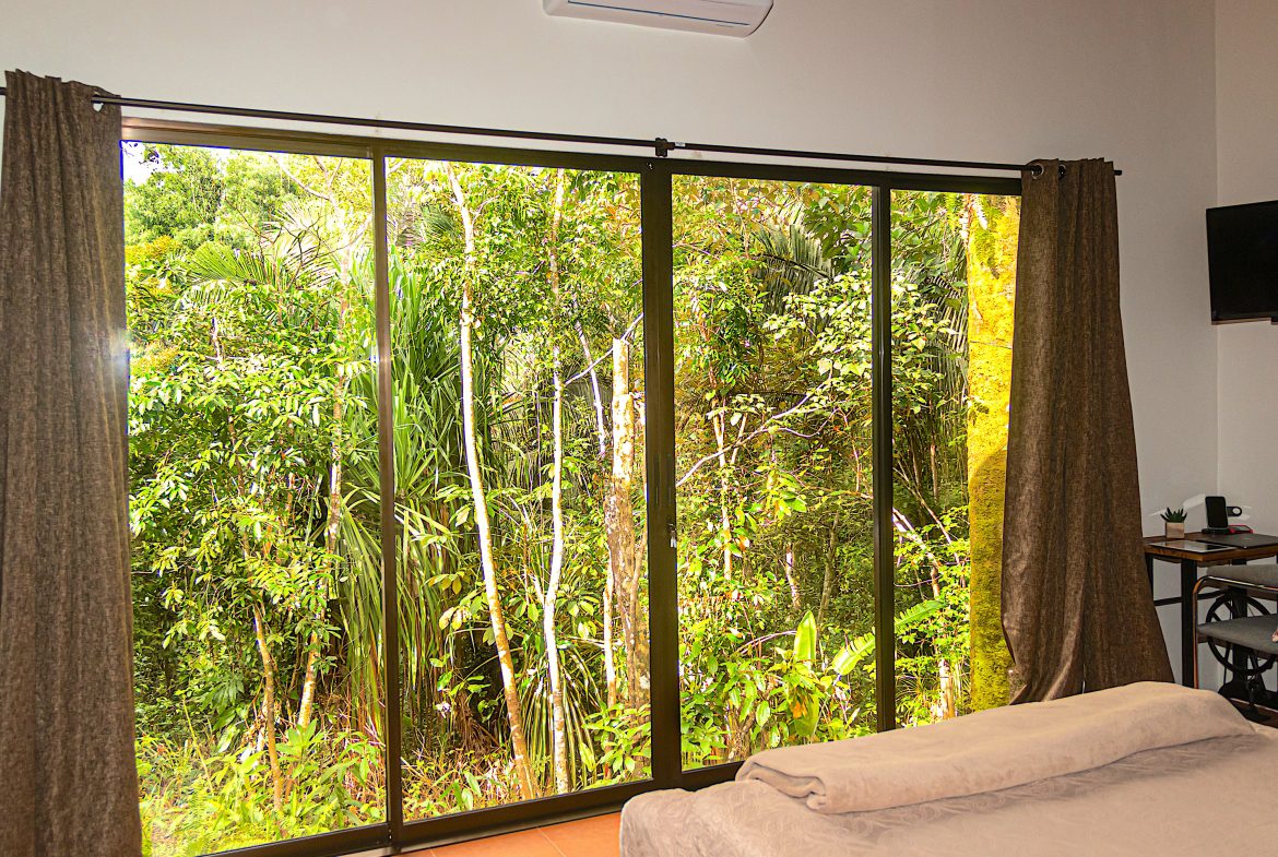 INVESTMENT PROPERTY HOME WITH CHALETS – CABINAS AND A STUDIO IN MANUEL ANTONIO – 2.86 ACRES