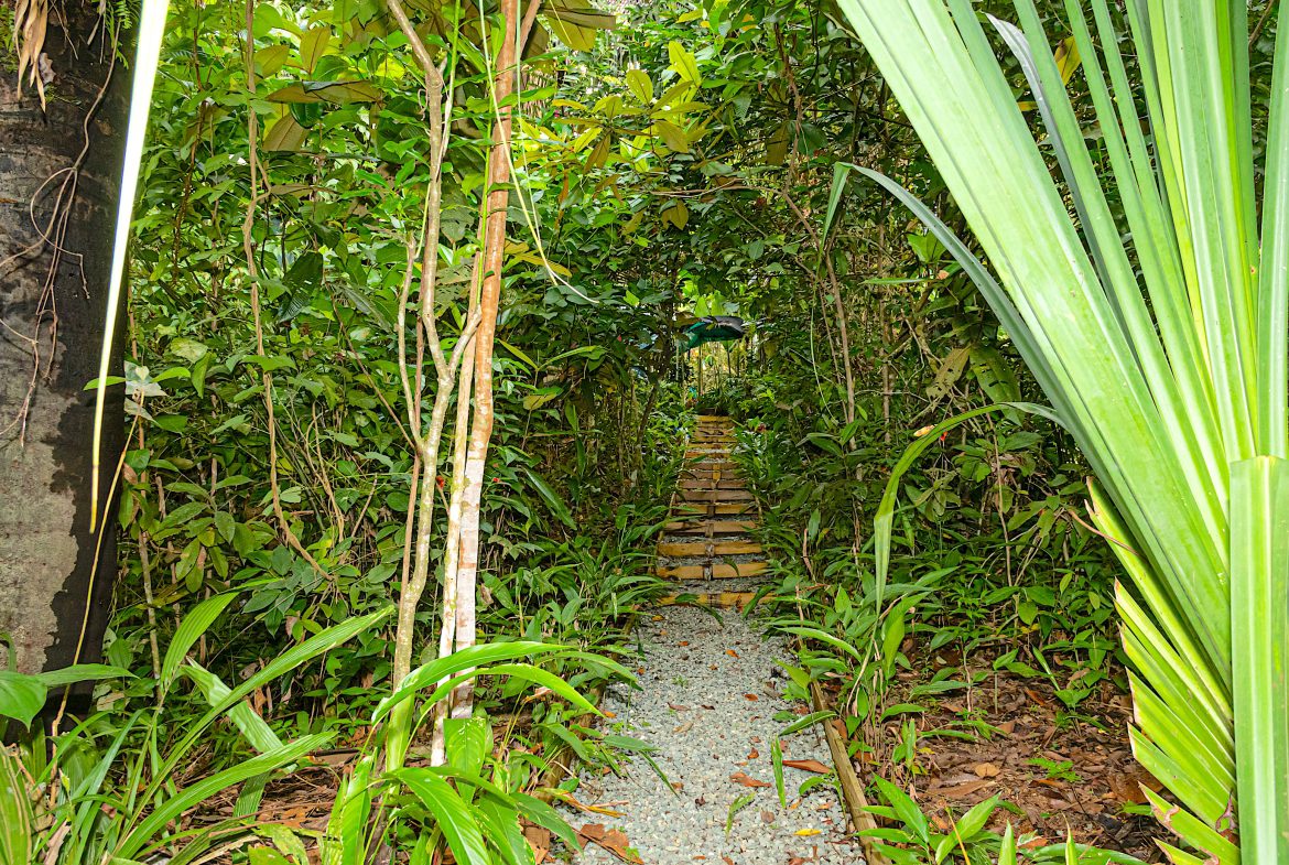 INVESTMENT PROPERTY HOME WITH CHALETS – CABINAS AND A STUDIO IN MANUEL ANTONIO – 2.86 ACRES