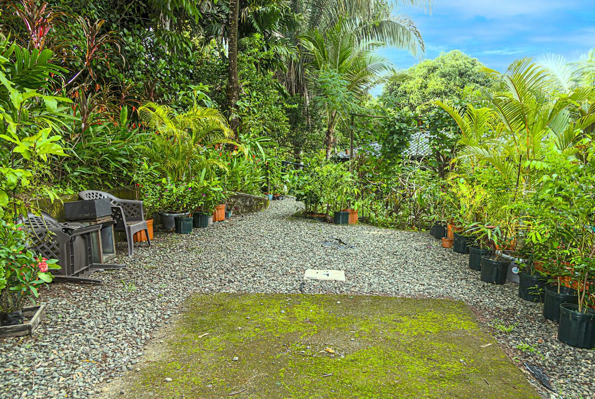 INVESTMENT PROPERTY HOME WITH CHALETS – CABINAS AND A STUDIO IN MANUEL ANTONIO – 2.86 ACRES