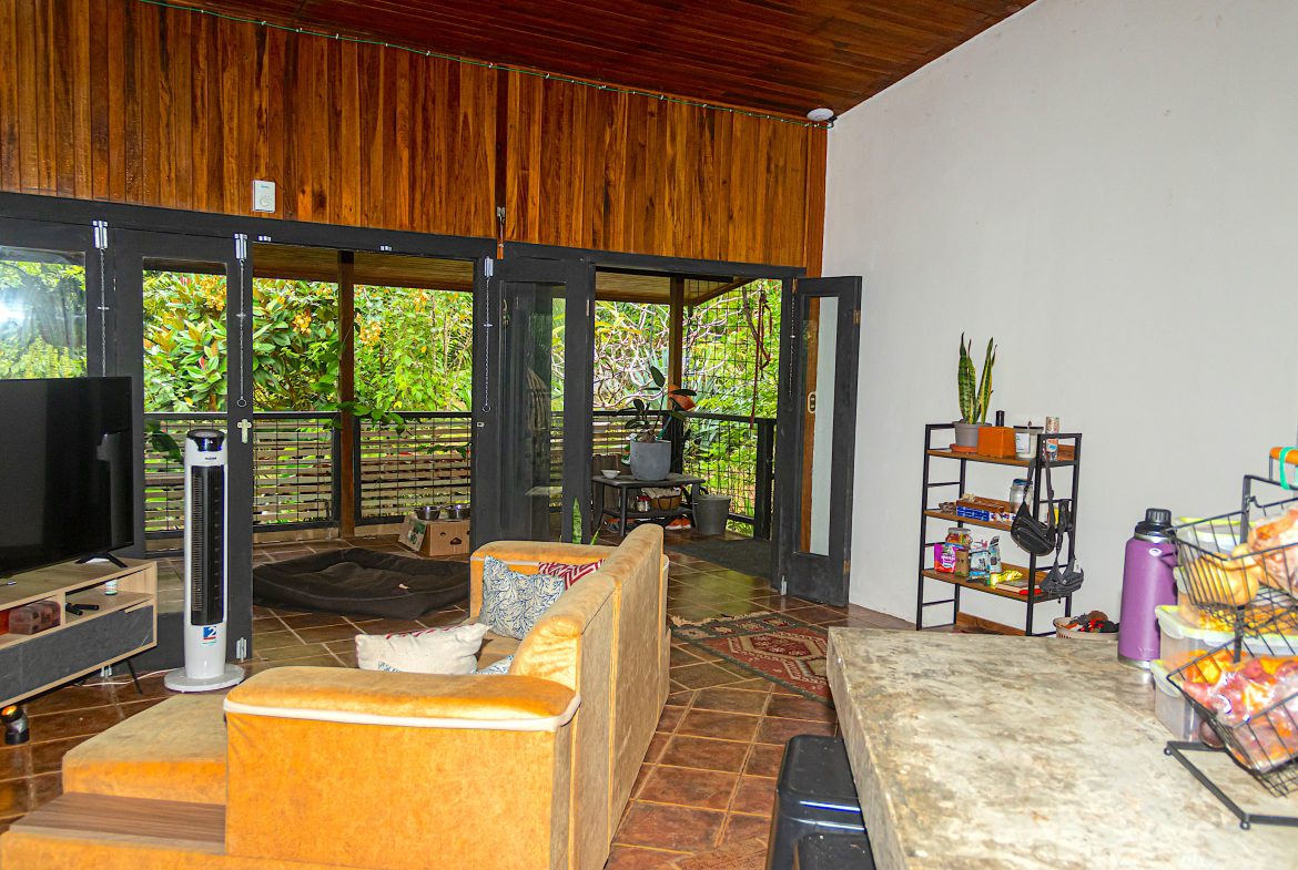 INVESTMENT PROPERTY HOME WITH CHALETS – CABINAS AND A STUDIO IN MANUEL ANTONIO – 2.86 ACRES