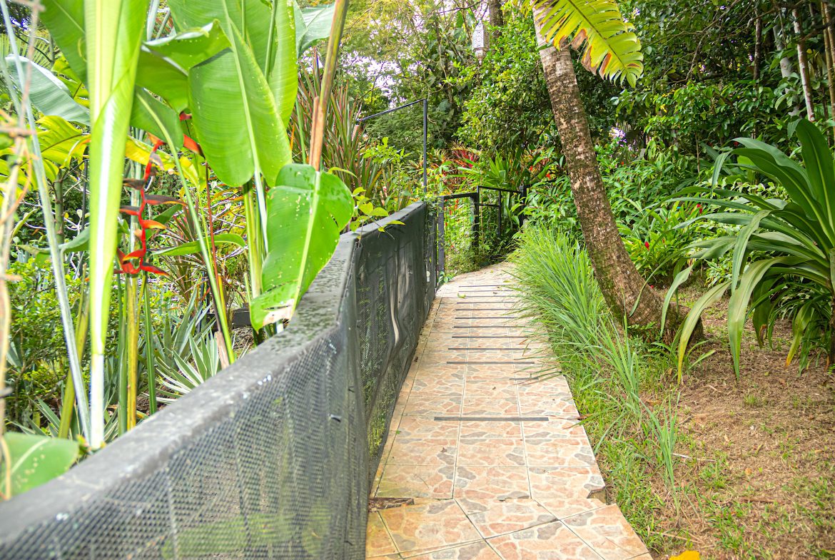 INVESTMENT PROPERTY HOME WITH CHALETS – CABINAS AND A STUDIO IN MANUEL ANTONIO – 2.86 ACRES