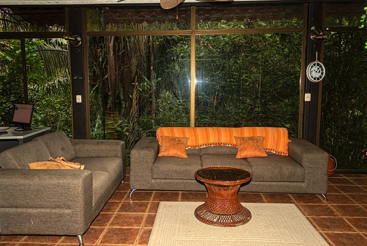 INVESTMENT PROPERTY HOME WITH CHALETS – CABINAS AND A STUDIO IN MANUEL ANTONIO – 2.86 ACRES