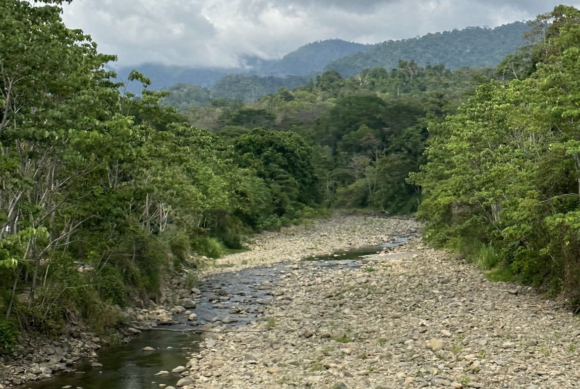 PRIME HIGH-PROFILE COMMERCIAL LAND – CORNER LOT – WITH RIVER FRONTAGE – 1.33 ACRES