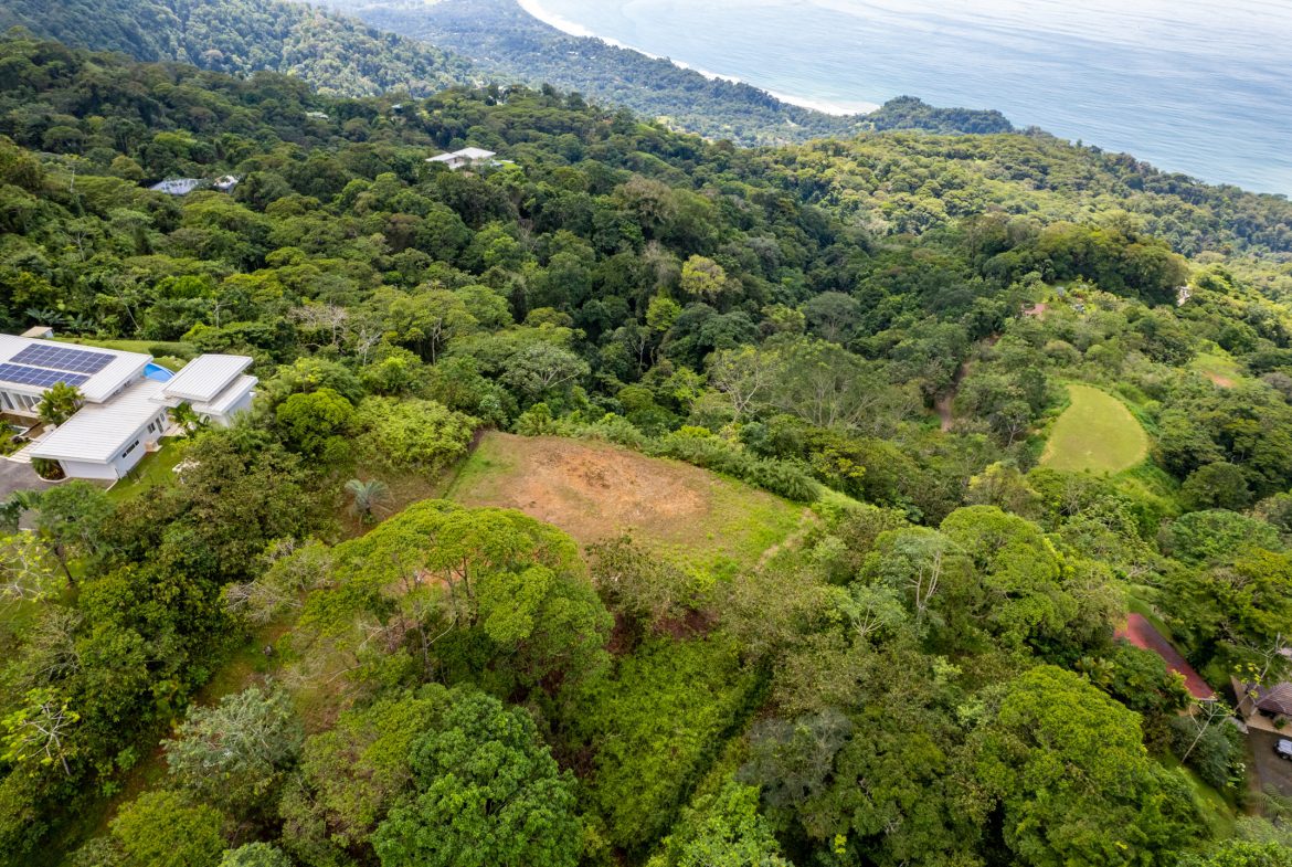 ICONIC WHALE TAIL VIEW LOT IN COSTA VERDE ESTATES – 1.71 ACRES, Uvita, Costa Rica — photo 8