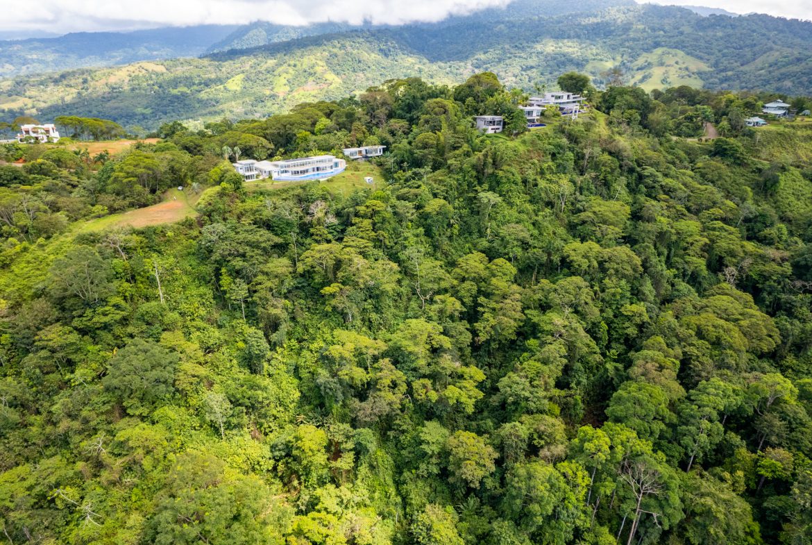 ICONIC WHALE TAIL VIEW LOT IN COSTA VERDE ESTATES – 1.71 ACRES