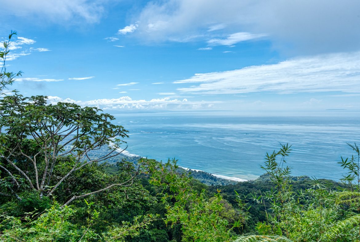ICONIC WHALE TAIL VIEW LOT IN COSTA VERDE ESTATES – 1.71 ACRES