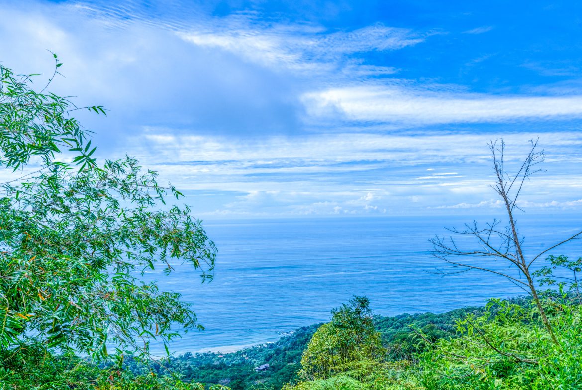 ICONIC WHALE TAIL VIEW LOT IN COSTA VERDE ESTATES – 1.71 ACRES