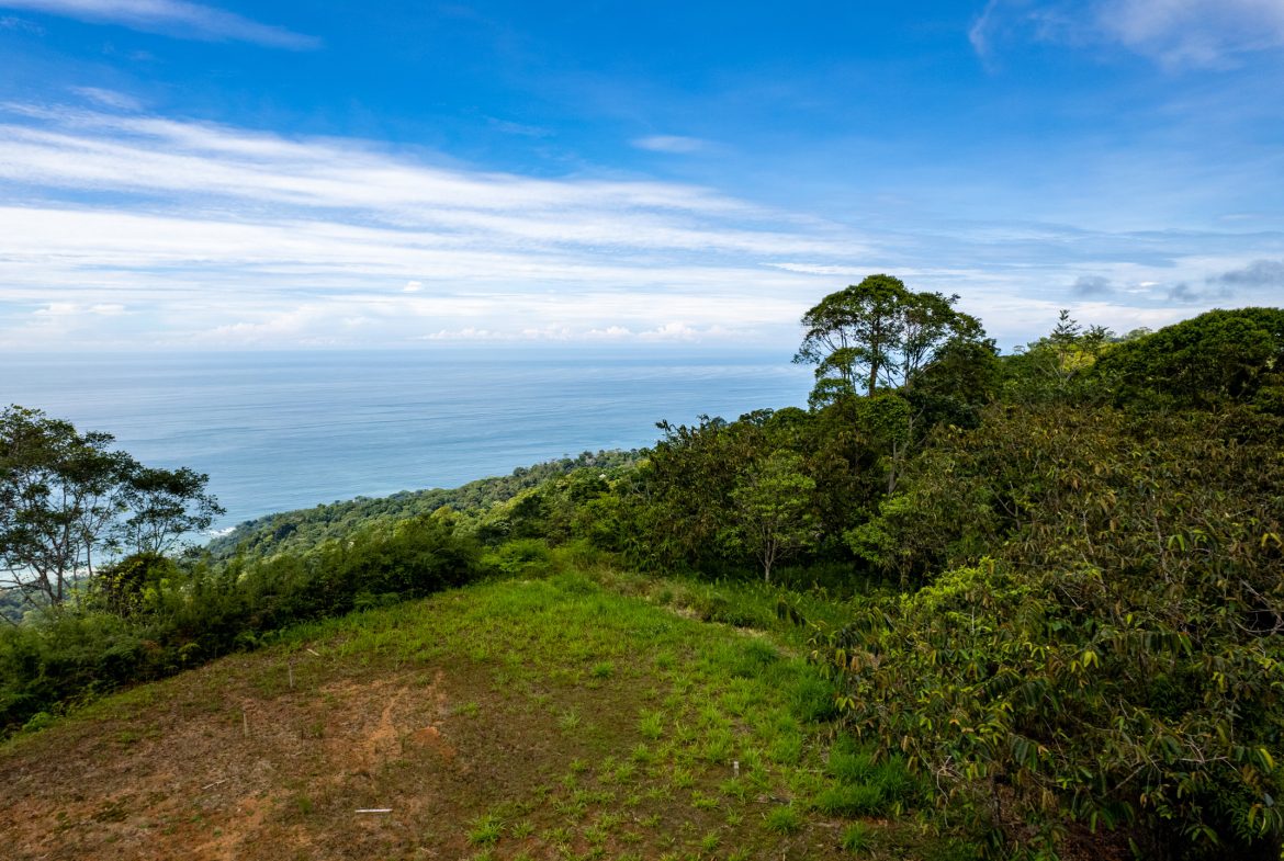 ICONIC WHALE TAIL VIEW LOT IN COSTA VERDE ESTATES – 1.71 ACRES, Uvita, Costa Rica — photo 4