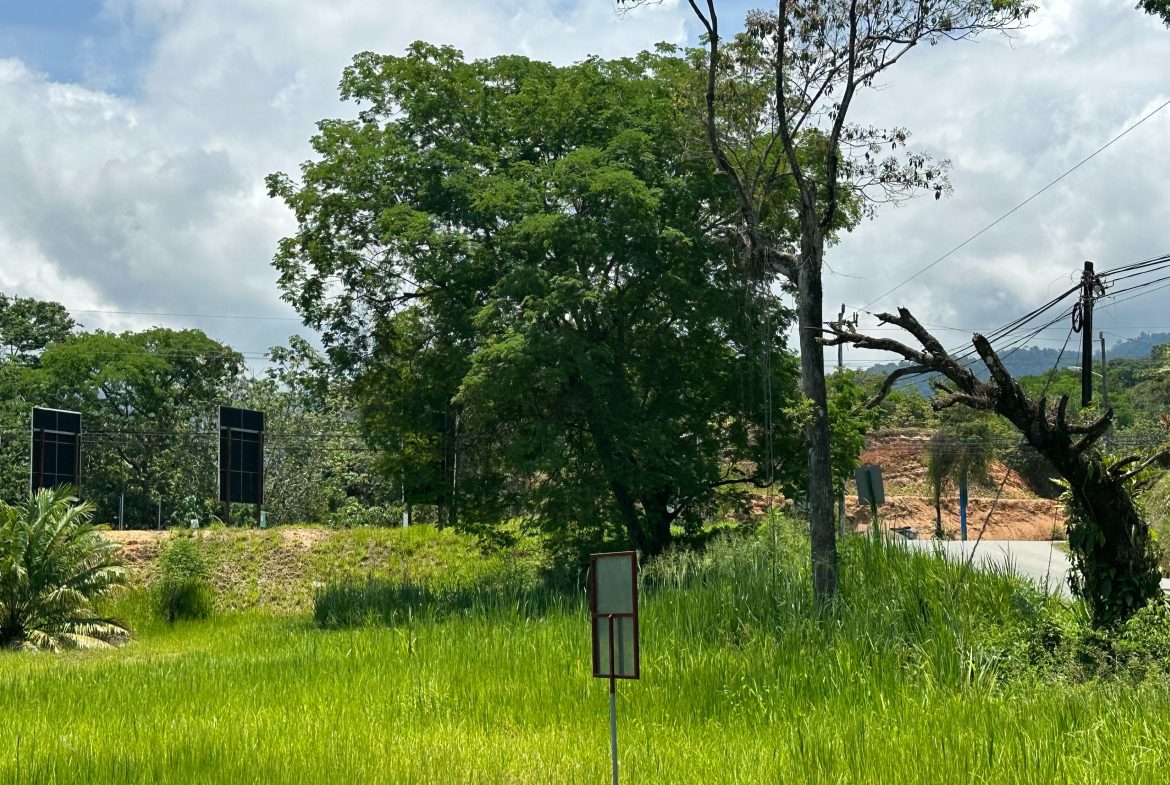 PRIME HIGH-PROFILE COMMERCIAL LAND – CORNER LOT – WITH RIVER FRONTAGE – 1.33 ACRES