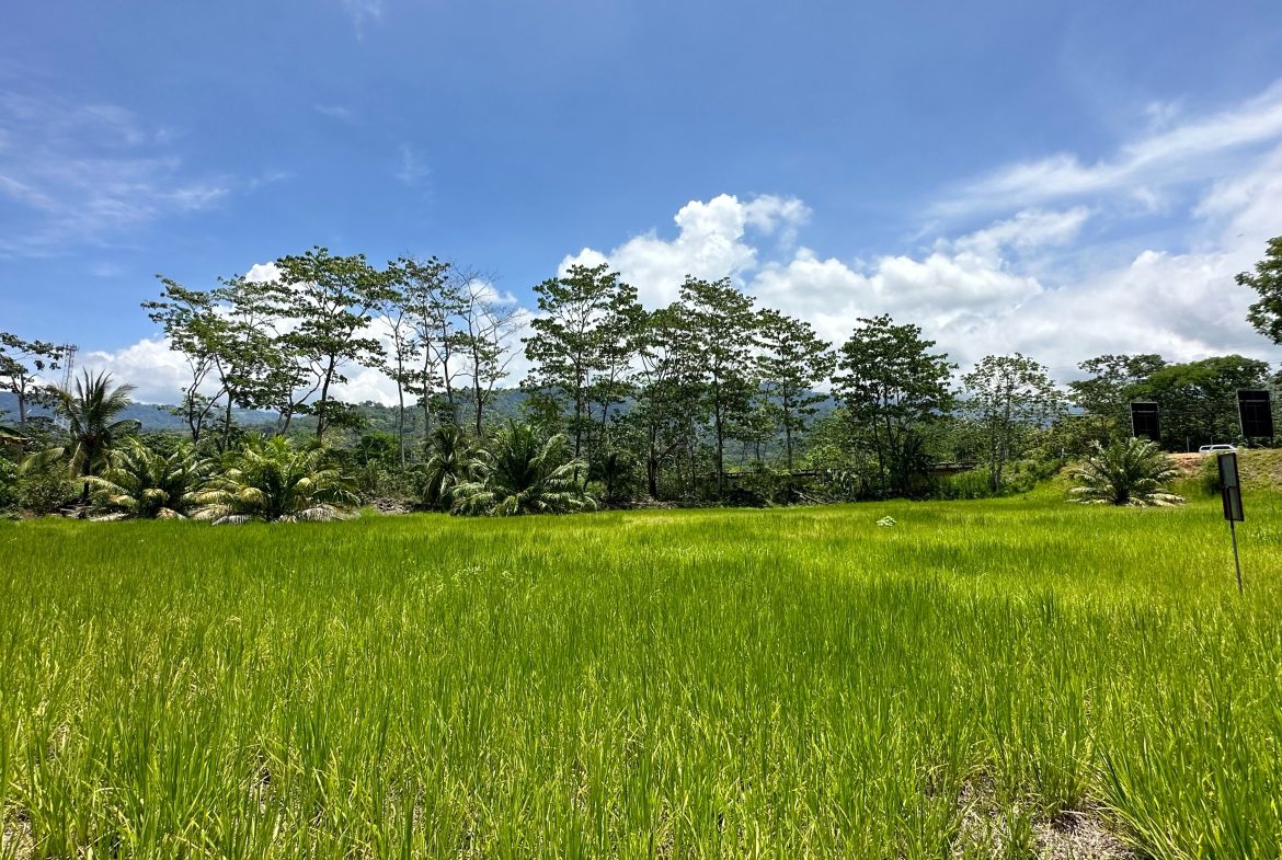 PRIME HIGH-PROFILE COMMERCIAL LAND – CORNER LOT – WITH RIVER FRONTAGE – 1.33 ACRES