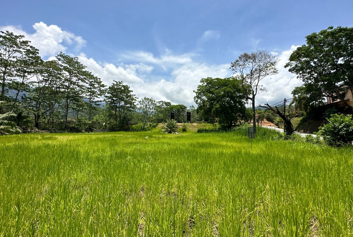 PRIME HIGH-PROFILE COMMERCIAL LAND – CORNER LOT – WITH RIVER FRONTAGE – 1.33 ACRES