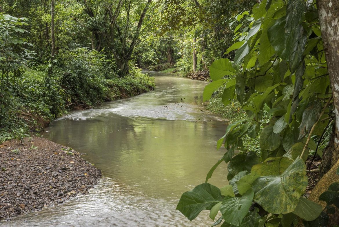 Developer’s dream - Land for hotel and master planned community - 950 acres