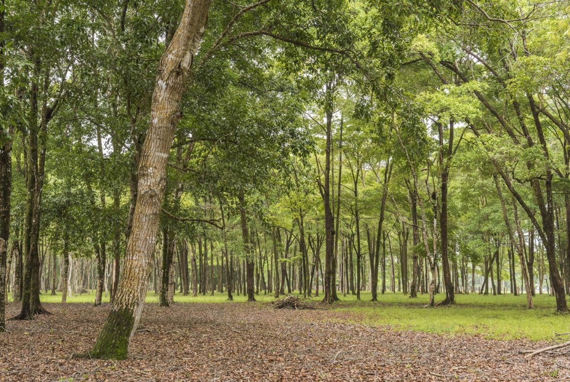 Developer’s dream - Land for hotel and master planned community - 950 acres