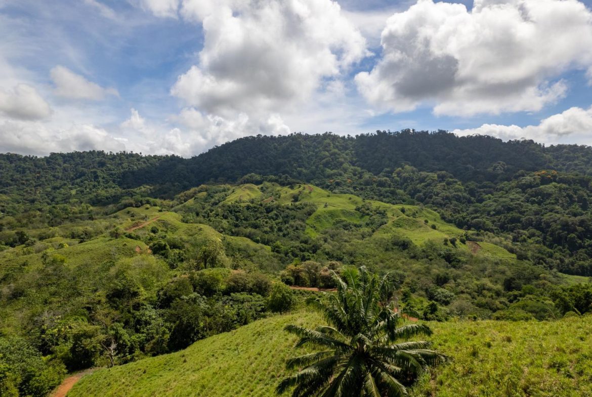 Developer’s dream - Land for hotel and master planned community - 950 acres