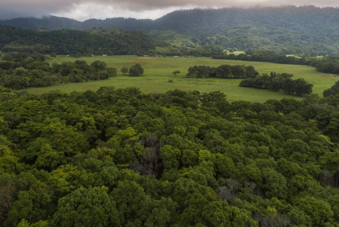 Developer’s dream - Land for hotel and master planned community - 950 acres