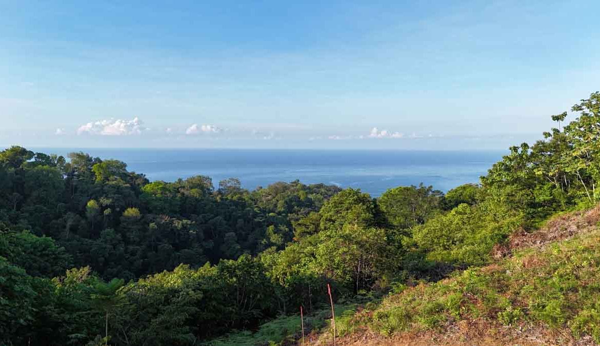 OCEAN AND MOUNTAIN VIEW LOT IN OJOCHAL – 0.65 ACRES