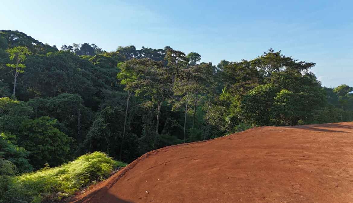 OCEAN AND MOUNTAIN VIEW LOT IN OJOCHAL – 0.65 ACRES