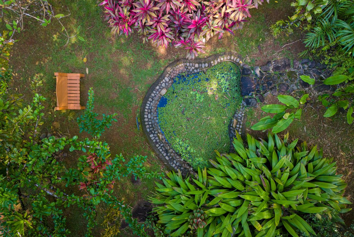 Bali Inspired Tropical Oasis – Ojochal