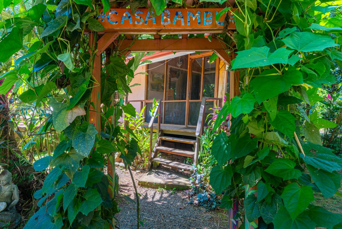 Bali Inspired Tropical Oasis – Ojochal
